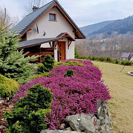 Hoya Hoya Villa Miedzybrodzie Bialskie Ngoại thất bức ảnh